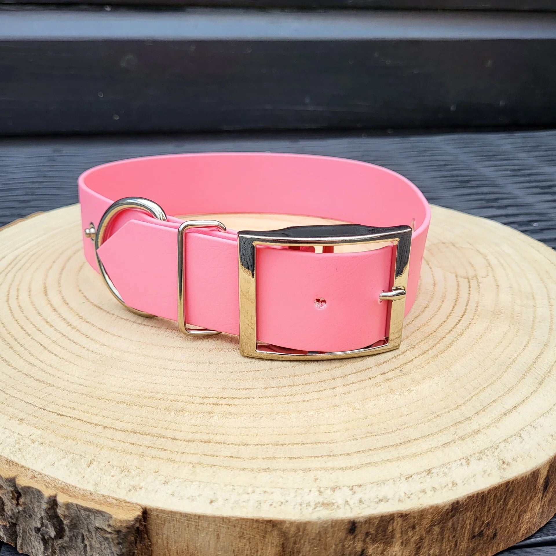 Halsband Biothane